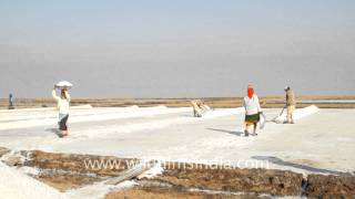 This is a salt pan Gujarat [upl. by Bowra151]