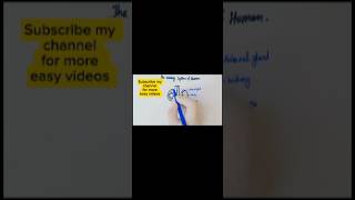 How to draw urinary system labbeled diagram youtube ytshorts youtubeshorts biology drawing [upl. by Sosthena674]