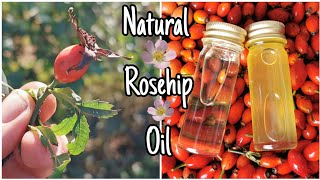 How To Make Rosehip Oil  Easily Step By Step 🌹 [upl. by Dora951]