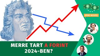 Merre tart a forint 2024ben [upl. by Atinaujnas631]