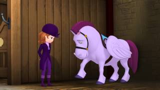 Princesse Sofia  Les Bonnes Manières de Princesse 2  Les Animaux amp lApparence  Disney Junior [upl. by Zennas]