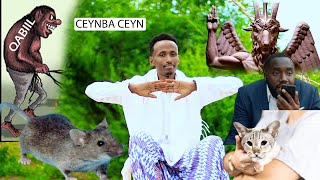 Ceynba Ceyn Dhaanto Cusub Abwaan Cabdi Baag New Video Official Kooxda Qaran Band [upl. by Sirac389]