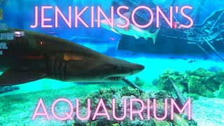 Jenkinsons Aquarium Tour  Sharks Seals and Penguins [upl. by Nodnil]