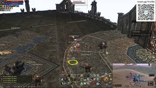 Lineage 2 Project Eva LVL 90 amp Live Orfen LVL 114 OFICIAL [upl. by Mohn]