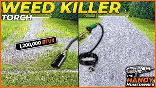 I Tried The Easiest DIY Weed Killer [upl. by Titania]