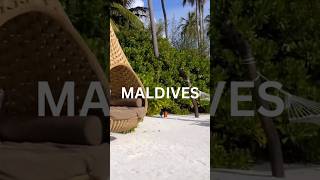 Best place in Maldives maldives shorts [upl. by Yseult698]