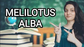 MELILOTUS ALBA HOMOEOPATHIC MEDICINEEXPLAINED WITH ALLEN KEYNOTES DRDEEKSHA [upl. by Ettennej]