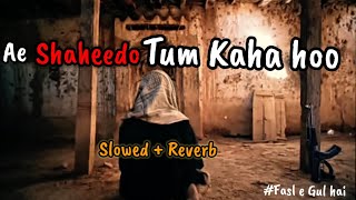 Fasle Gul Hai🌾  Ae Shaheedo Tum Kaha Ho ☝ Slowed  Reverb 🎧 [upl. by Di604]