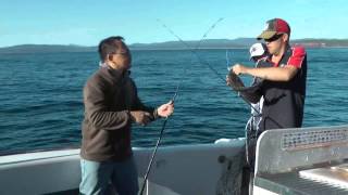 Fishing in Merimbula 26 Dec 13 [upl. by Kcirb]