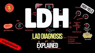 LACTATE DEHYDROGENASE Clinical significance Why LDH increase [upl. by Gonsalve]