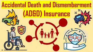 Accidental Death and Dismemberment ADampD Insurance [upl. by Euqcaj213]