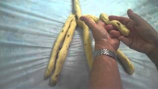 How to Braid Challah [upl. by Haye940]