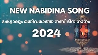 Nabidina Song 2024  Nabidina Song Lyrics  Latest Labidina Song Lyrics  New Nabidina Song 2024 [upl. by Particia154]