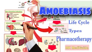 Amoebiasis Pathophysiology Life cycle amp Pharmacotherapy  Pharmacology [upl. by Eecal]