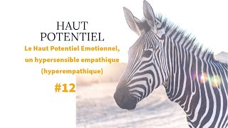 HAUT POTENTIEL 12 le Haut Potentiel Emotionnel un hypersensible empathique hyperempathe [upl. by Maurene]