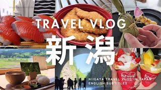 【新潟グルメVlog】旅行モデルコース盛り沢山な24ヶ所絶品寿司新潟土産満載な道の駅アートで幻想的な絶景スポット究極の塩むすび魚のアメ横で食べ歩き新潟代表パワースポット絶景空中散歩他 [upl. by Cleaves100]