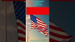 US Citizenship interviewSome questions immigration Officer can ask you [upl. by Atinel]