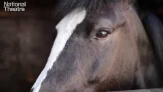 Joey of WarHorse meets Providence Mounted Command horses [upl. by Yelnik]