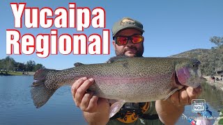 Trout Fishing  Yucaipa Regional Park  Yucaipa California [upl. by Mirabella960]