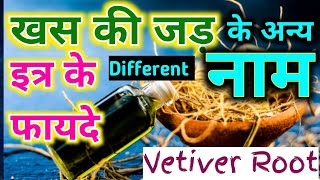 khas ki jad kaise hoti hai  Vetiver different names  khas ki jad kahan milegi vetiver khasroot [upl. by Sarkaria]