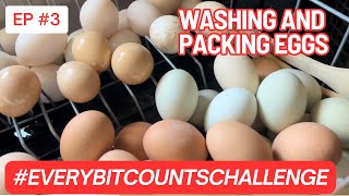 Washing and Packaging Eggs for refrigeration everybitcountschallenge threerivershomestead [upl. by Addiego]