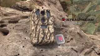 Stealth Cam  P18CMO  Quick Overview [upl. by Naquin21]