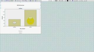 SPSS VideoSeminar  Teil 8 Datenexploration  Balkendiagramm Histogramm [upl. by Musihc]