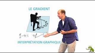 Le gradient  interprétation graphique [upl. by Erl620]