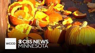 Richfield has come up with a fun way to get rid of those pumpkins [upl. by Wrdna]