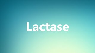 Lactase  Medical Definition and Pronunciation [upl. by Anavi]