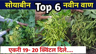 सोयाबीन नवीन Top 6 वाण  एकरी 1920 क्विंटल दिलेsoyabean variety in maharashtra KDS 992MAUS 725 [upl. by Ardnala]