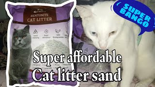 BINILAN KO NGA SI SABSAB NG BENTONITE CAT LITTER SAND  NhateL G [upl. by Melamie]