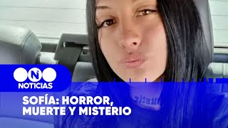 CASO SOFÍA DELGADO HORROR MUERTE y MISTERIO  Telefe Noticias [upl. by Herbst687]