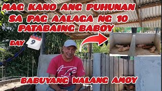 BABUYANG WALANG AMOY  DAY 9 ✅ 2024 MAGKANO NA ANG PUHUNAN SA PAG AALAGA NG 10 PATABAING BABOY [upl. by Zendah]