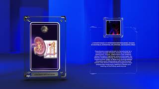 Hypertensive nephrosclerosis [upl. by Hammad]