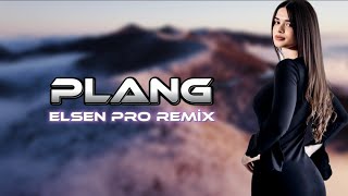 Elsen Pro amp Adrian Minune  Plang [upl. by Micky]