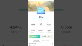 ✨Shiny Ditto CAUGHT In Pokemon Go✨ shorts pokemon [upl. by Yema524]