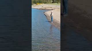 Fishing in patagonia camping solocamping fishing wildlife chile patagonia intothewild [upl. by Yesnnyl]