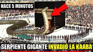 Una serpiente gigante INVADIÓ la Kaaba ¿Es esta la respuesta de Jesús [upl. by Niven]