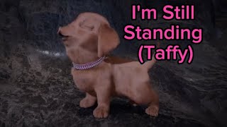 Im Still Standing Taffy 💖 [upl. by Eened912]