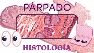 Histología del Parpado [upl. by Lois]