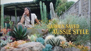 The Most Australian Thing Ive Ever Done to Save My Garden [upl. by Aseela]