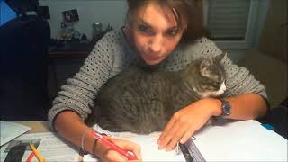 Trying to study with a cat [upl. by Griggs618]