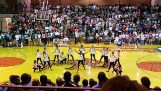 Pineville High School Red Hot Dixie Dancers [upl. by Shani15]