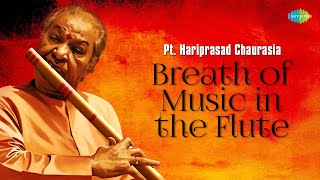 Pt Hariprasad Chaurasia  Breath Of Music In The Flute  Peaceful Morning  Indian Classical Music [upl. by Vernita482]