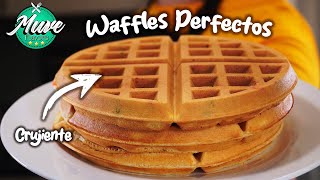 CÓMO HACER WAFFLES 🧇  ESTA ES LA MEZCLA PERFECTA  Muve Flavors [upl. by Calida94]