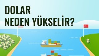 Dolar Neden Yükselir [upl. by Aramac27]