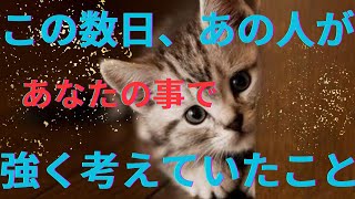 この数日あの人があなたの事で真剣に考えていたこと。気持ち💜恋愛タロット占い オラクルカードリーディング [upl. by Juieta]