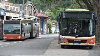 Zbog nedostatka vozača od ponedjeljka ljetni vozni red Autotroleja [upl. by Sihunn]