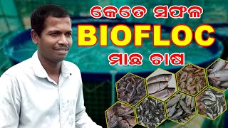 Biofloc Subsidy in Odisha  ବାୟଫ୍ଲୋକ ରେ ସରକାରଙ୍କ ସହାୟତା  New scheme in BioFloc Fish Farming [upl. by Accebber416]